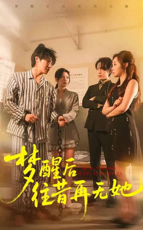 梦醒后往昔再无她（84集全）李彬航＆周恬羽-搜外项目网