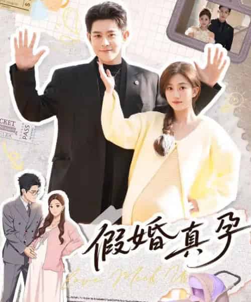 假婚真孕(70集全)-搜外项目网