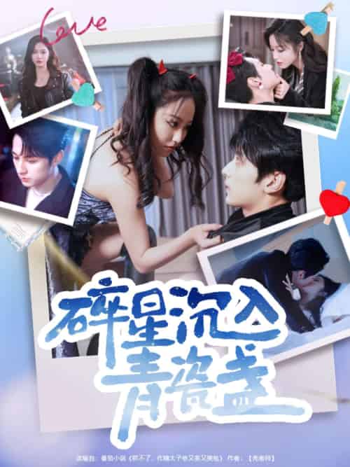 碎星沉入青瓷盞（96集）张屹杨＆白雪茹-搜外项目网