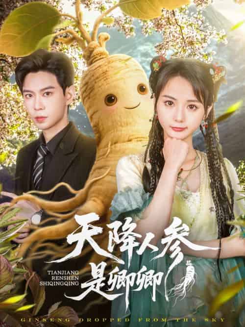 天降人参是卿卿（97集）黄浩雯＆马倩倩-搜外项目网