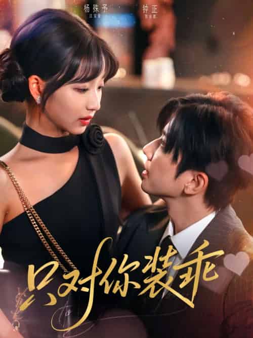 只对你装乖(80集)钟正&杨殊予-搜外项目网