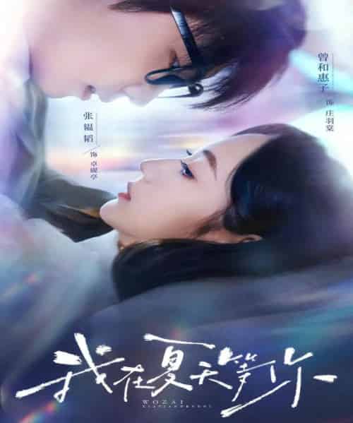 我在夏天等你(80集)曾和惠子&张韫韬-搜外项目网