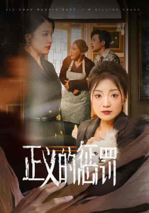 正义的惩罚（58集全）张文杰＆林知意-搜外项目网