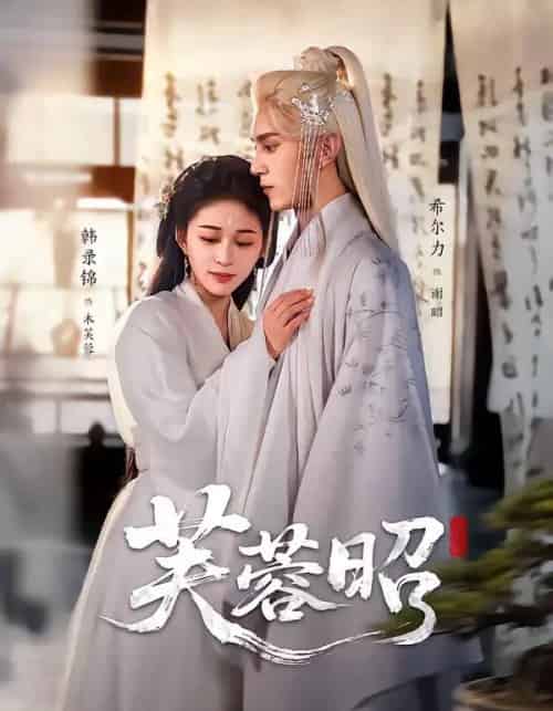 芙蓉昭(50集全)希尔力&韩录锦-搜外项目网
