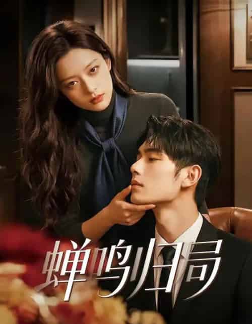 蝉鸣归局（48集全）-搜外项目网