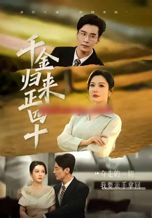 千金归来正四十(75集全)李明明&王璐-搜外项目网