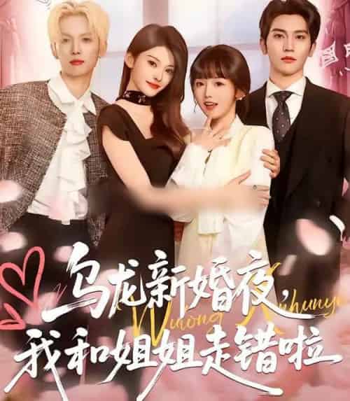乌龙新婚夜，我和姐姐走错啦（59集全）马骁凡＆烨喵-搜外项目网