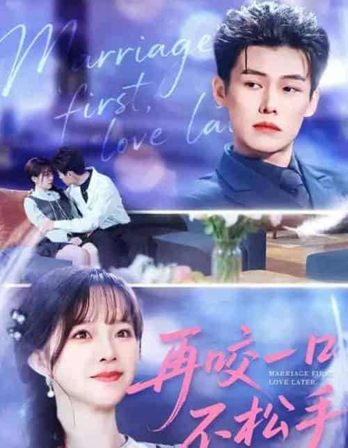 再咬一口不松手（85集全）张东梓＆谢春懿-搜外项目网