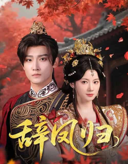 辞凤归（70集）沈樑＆龙熙-搜外项目网