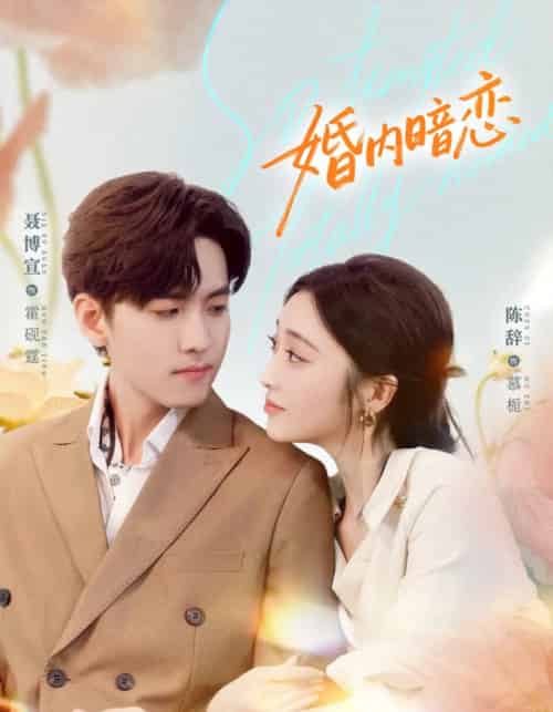 婚内暗恋（80集全）聂博宣＆陈辞-搜外项目网