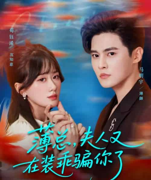 薄总，夫人又在装乖骗你了（80集全）马明宇＆苟钰浠-搜外项目网