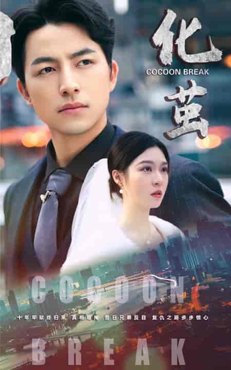 化茧（50集全）吴昊＆郑晨雨-搜外项目网