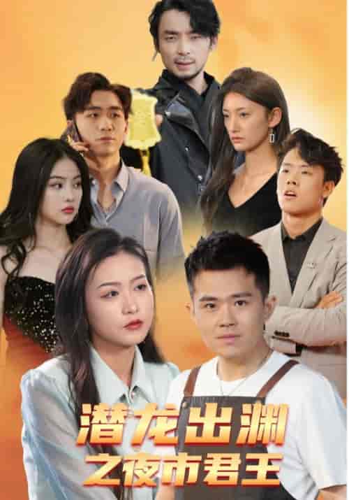 潜龙出渊之夜市君王（94集全）萧炎＆苏清墨-搜外项目网