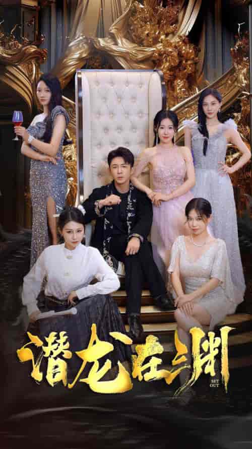 新：潜龙在渊（37集）马祈欣-搜外项目网