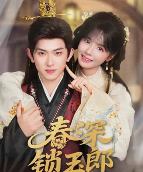 春深锁玉郎（89集）陈添祥＆刘念-搜外项目网