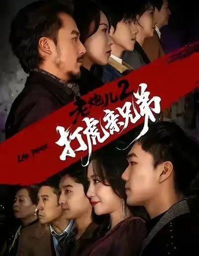 老炮儿2打虎亲兄弟(74集全)徐颖&陈贤宇-搜外项目网