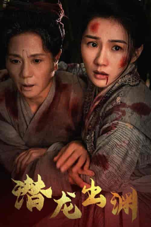 新版：潜龙出渊（43集全）-搜外项目网