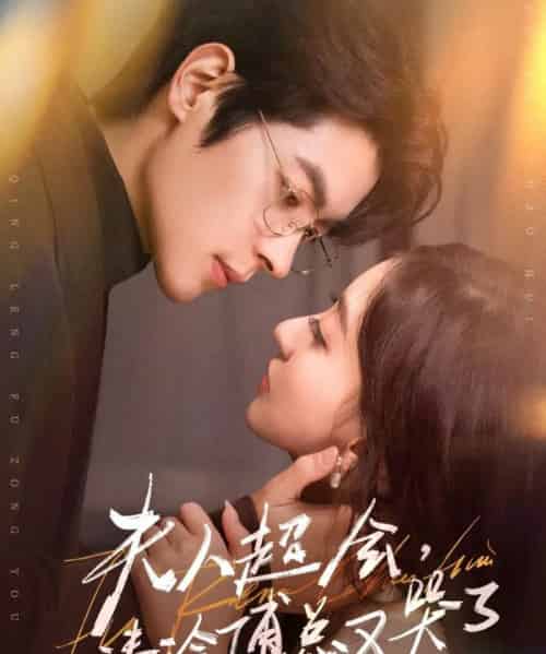 夫人超会，清冷傅总又哭了（77集全）董一＆修雨秀-搜外项目网