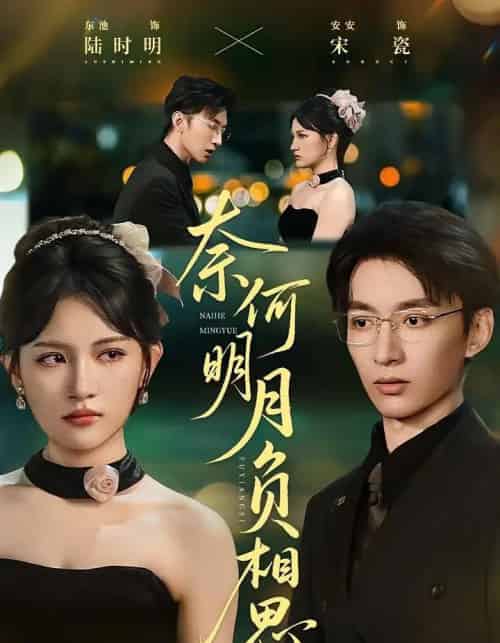 奈何明月负相思(60集全)安安&东池-搜外项目网