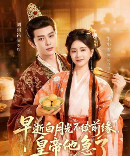 早逝白月光不续前缘，皇帝他急了（68集全）朱小雪＆刘润铭-搜外项目网