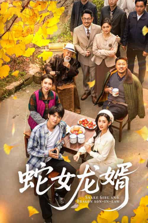 蛇女龙婿＆不负韶华不负卿（52集全）余戬＆王冰星-搜外项目网