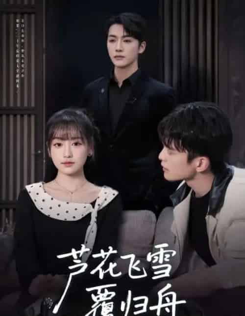 芦花飞雪覆归舟（77集全）李咏靖＆武伯言-搜外项目网