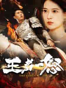 王者一怒（100集）韩雨轩-搜外项目网