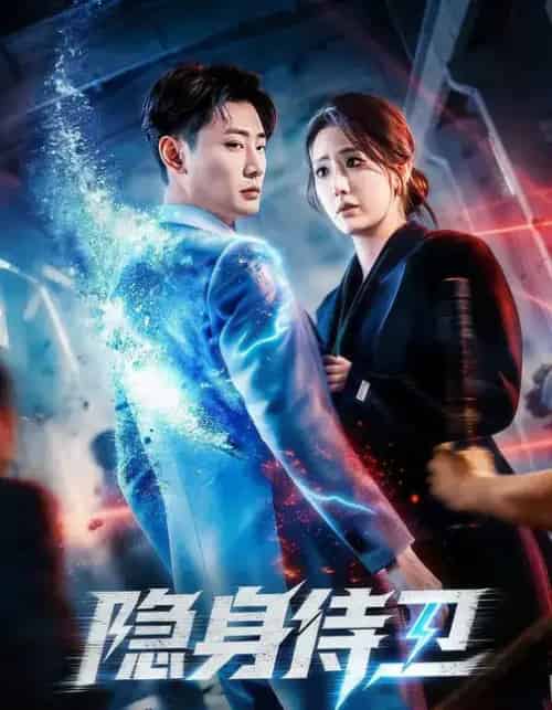 隐身侍卫（80集全）宣嘉橙＆金鑫欣-搜外项目网