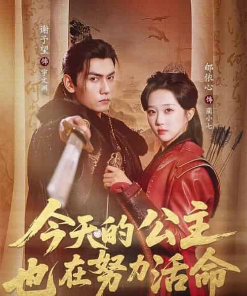 今天的公主也在努力活命（61集全）谢予望＆郇依心-搜外项目网