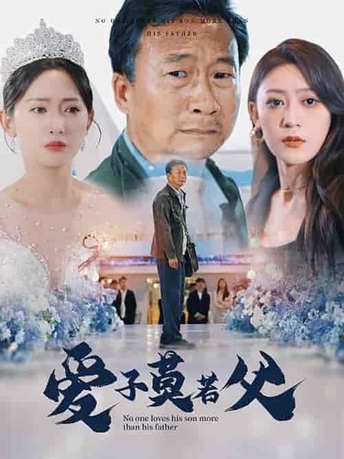 爱子莫若父(71集)张涵箐-搜外项目网