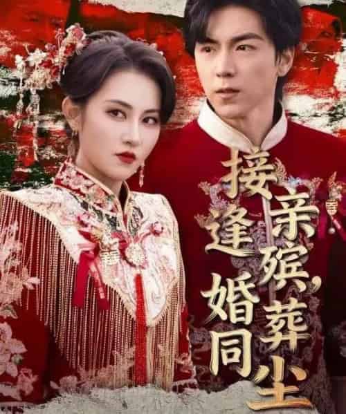 接亲逢殡，婚葬同尘（64集全）杨晴＆牛一凡-搜外项目网