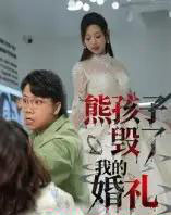 熊孩子毁了我的婚礼（36集全）张若曦-搜外项目网