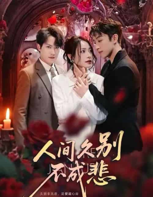 人间久别不成悲（80集全）李曾＆张耀玮-搜外项目网