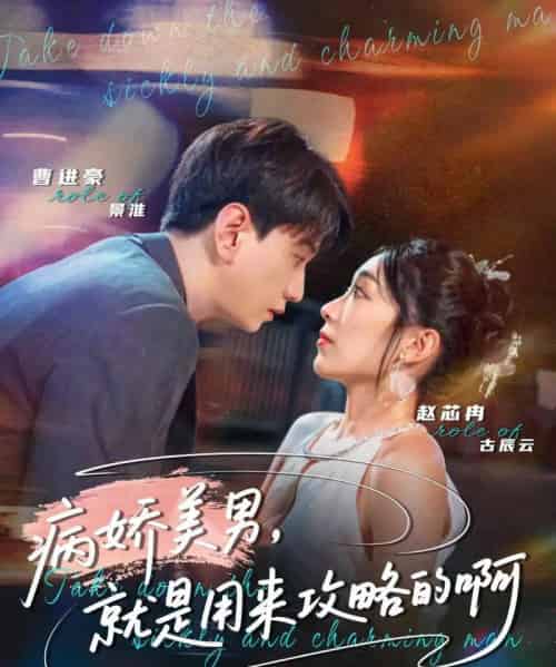 病娇美男，就是用来攻略的啊＆黑化男反，就是用来攻略的啊（68集全）曹进豪＆赵芯冉-搜外项目网