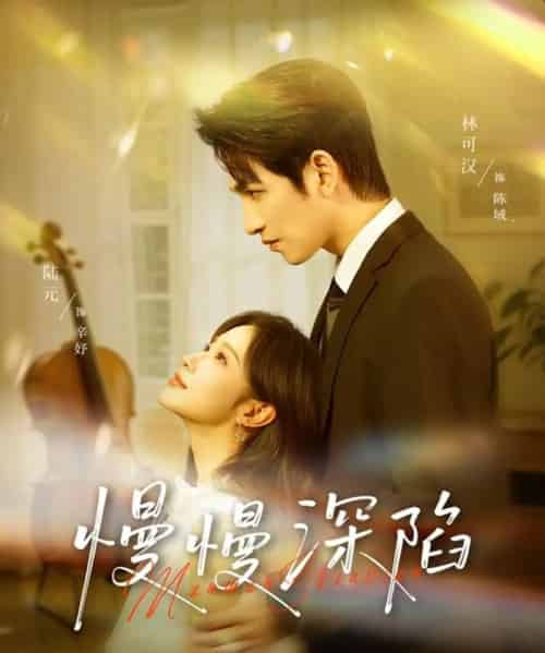 慢慢深陷（80集全）林可汉＆陆元（情侣档）-搜外项目网