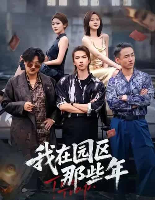 我在园区那些年（61集全）王振宇＆汪芷萱-搜外项目网