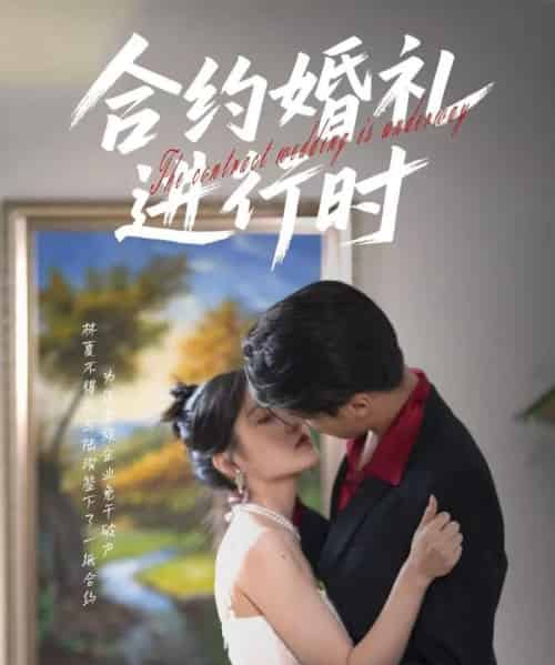 合约婚礼进行时（30集）刘灵灿-搜外项目网