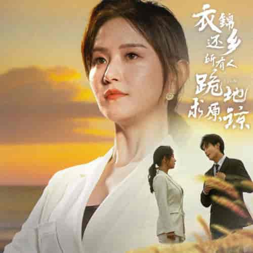 衣锦还乡，所有人跪地求原谅（40集全）白桑葚-搜外项目网