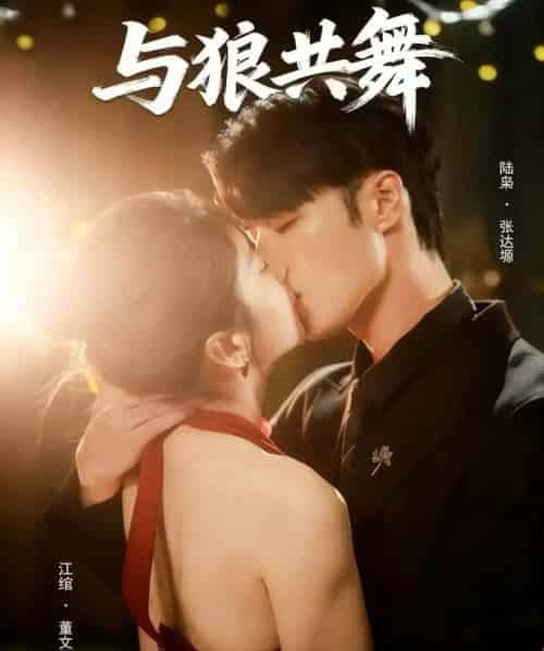 与狼共舞（60集全）张达塬＆董文轩-搜外项目网