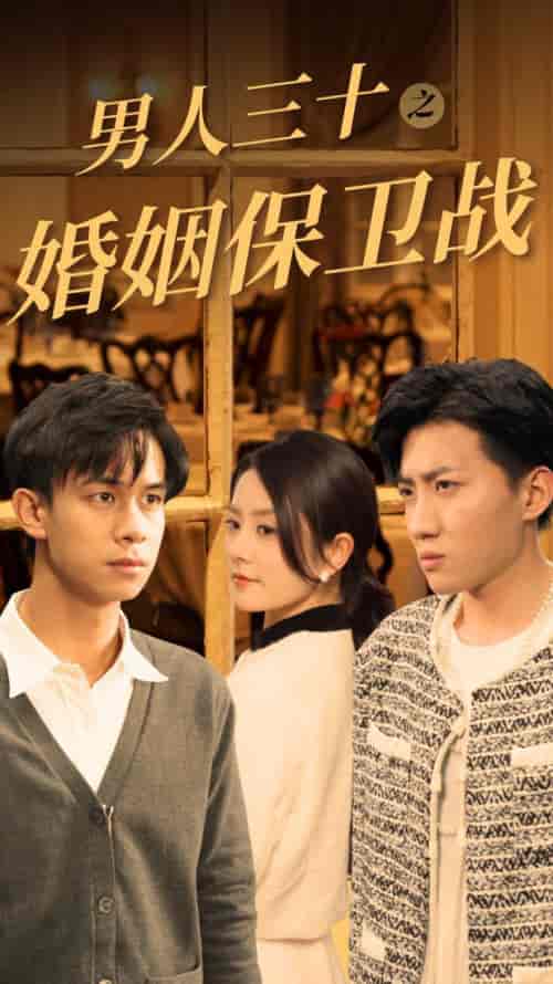 男人三十之婚姻保卫战（31集全）-搜外项目网