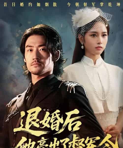 退婚后他亮出了督军令(65集全)杨映真-搜外项目网