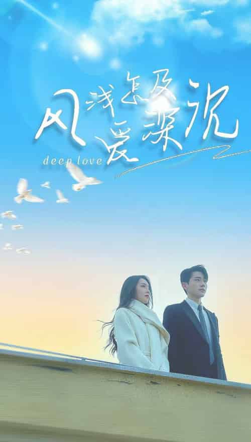 风浅怎及爱深沉（68集全）李铂一＆赵早儿-搜外项目网
