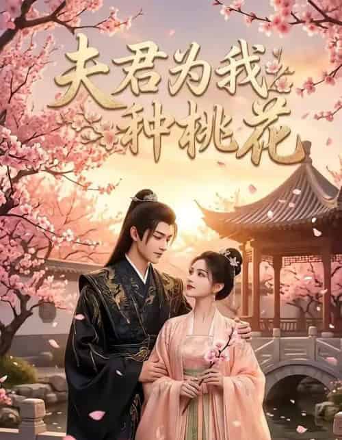 夫君为我种桃花（16集全）AI-搜外项目网