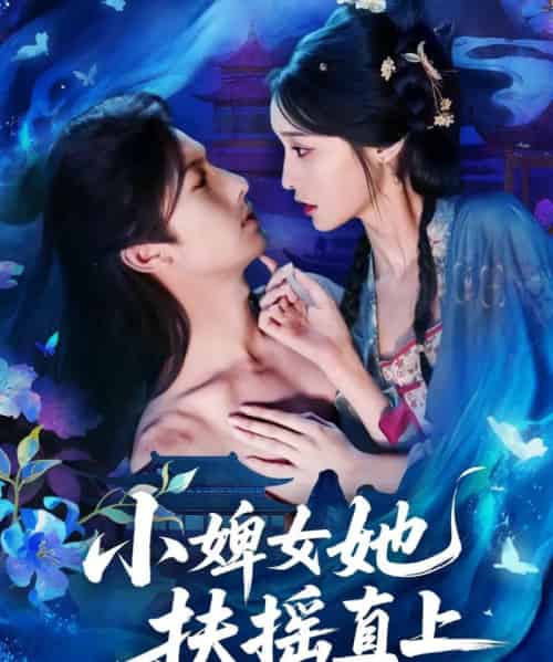 小婢女她扶摇直上（61集全）刘俊达＆甜九洛-搜外项目网