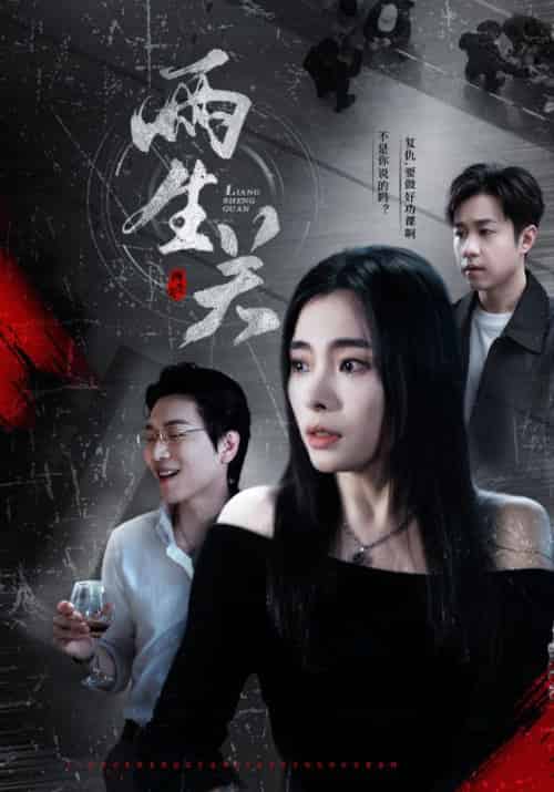 两生关（40集全）张晓楠-搜外项目网