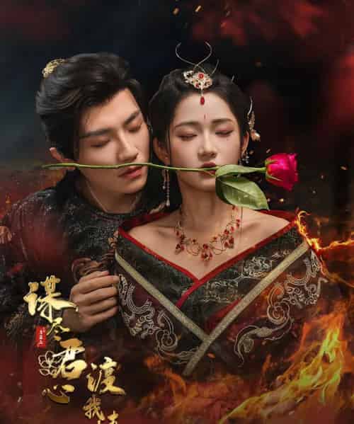 谋尽君心渡我情（50集）安子杨＆汪海敏-搜外项目网