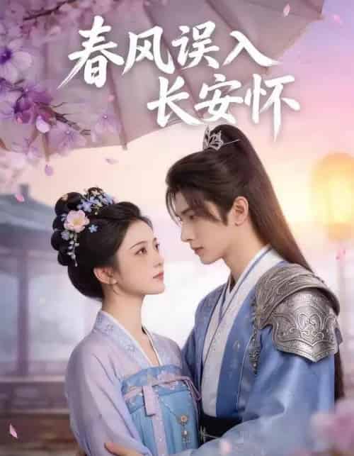 春风误入长安怀（40集全）AI-搜外项目网