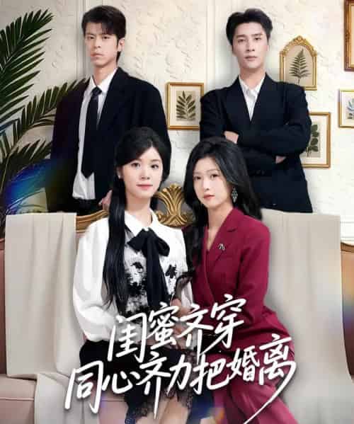 闺蜜齐穿同心齐力把婚离（80集全）刘玉姣＆崔旭阳-搜外项目网
