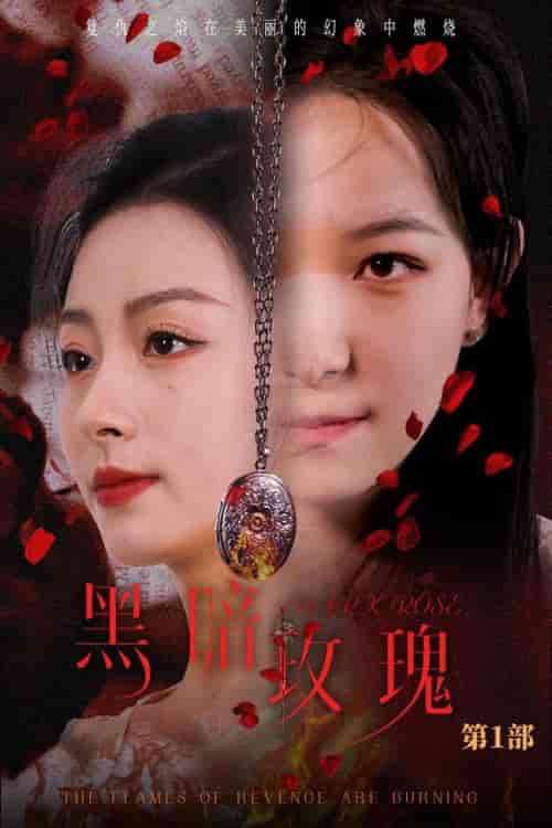 黑暗玫瑰（84集全）王艺阳-搜外项目网