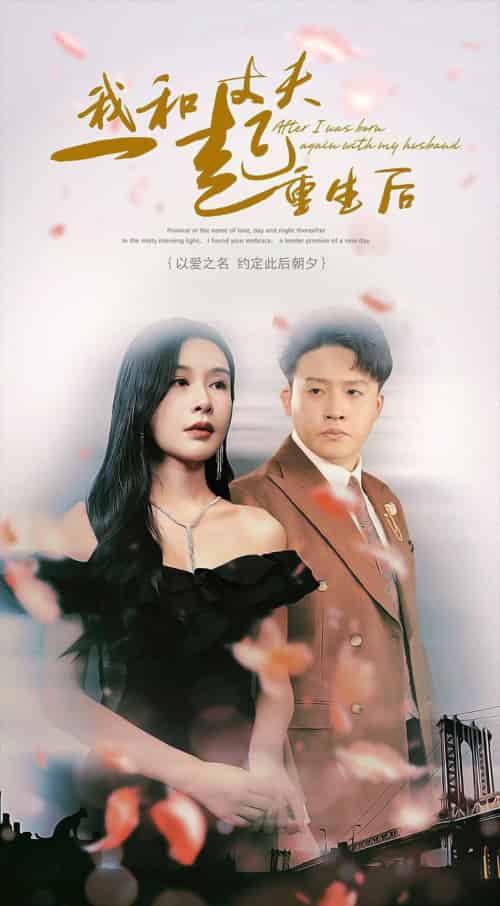 我和丈夫一起重生后(60集)杨景景-搜外项目网